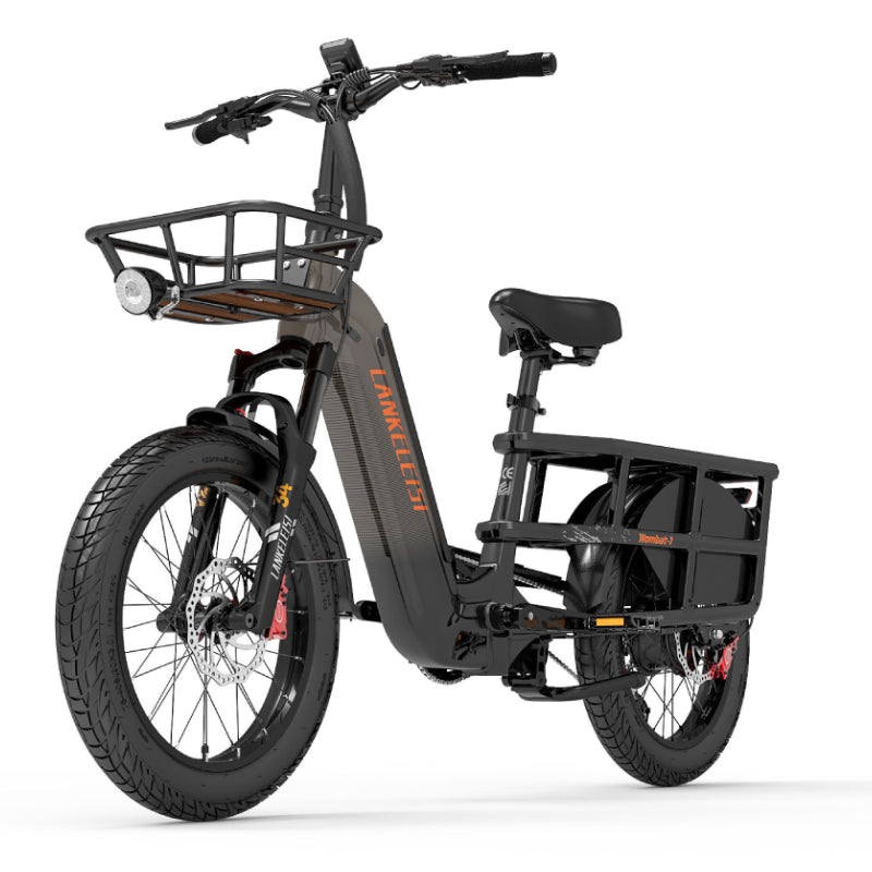 LANKELEISI Wombat-1 Tiefeinsteiger E-Bike für Stadt und Lasten