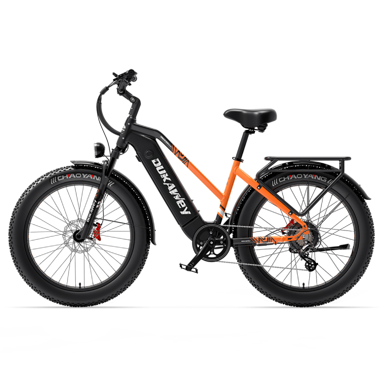 E-Bike DUKAWEY DM530 von lankeleisi.eu mit schwarzem Rahmen und Mountainbike-Design, Blick auf das E-Bike von vorne