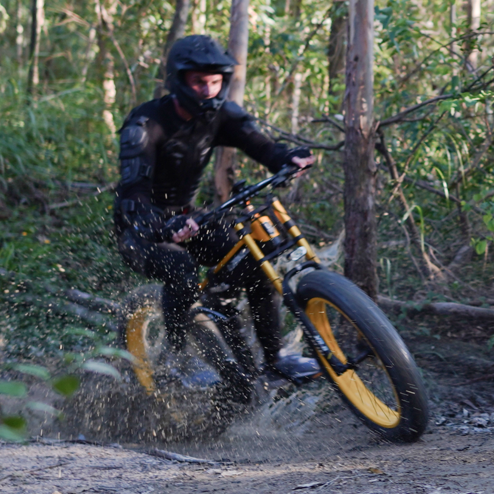 【Vorverkauf】LANKELEISI XT750PLUS