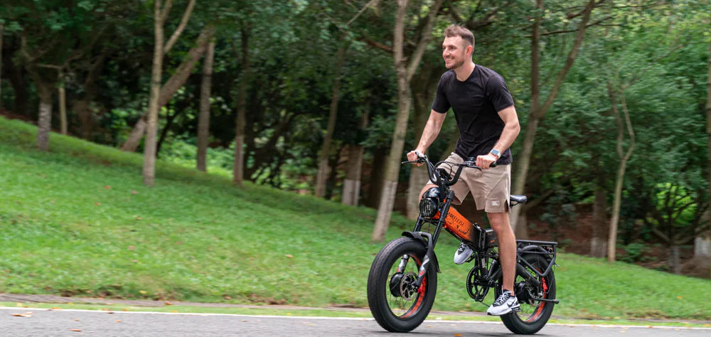 Lankeleisi Grundwartung für Elektrofahrräder