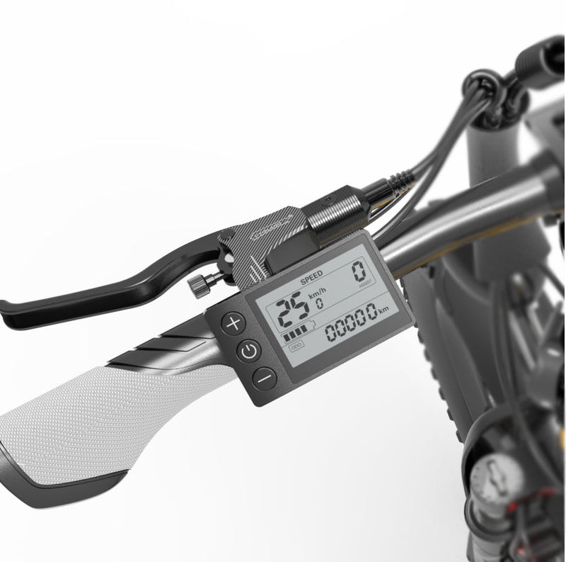 LANKELEISI ES500PRO City E-Bike Pedelec