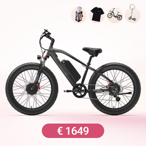 LANKELEISI MG740PLUS E-Mountainbike Fatbike
