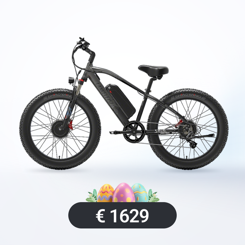 LANKELEISI MG740PLUS E-Mountainbike Fatbike