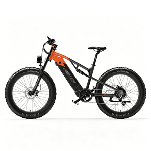 LANKELEISI RV800 Plus E-Mountainbike Fatbike