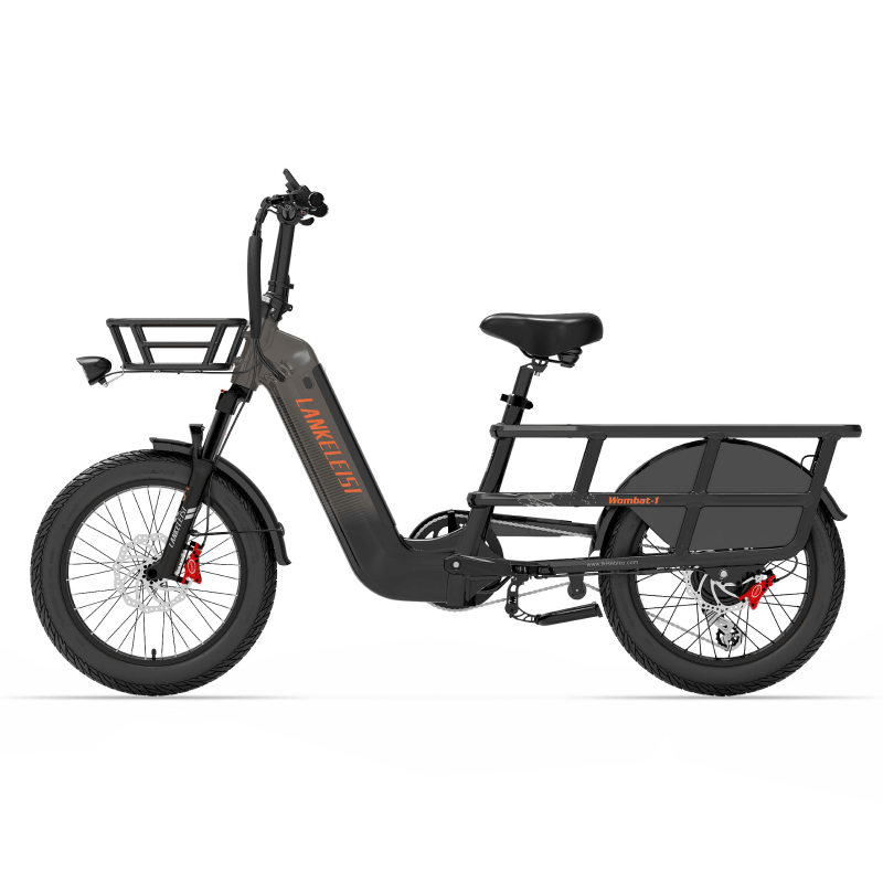 LANKELEISI WOMBAT-1 E-Bike für Stadt und Lasten, tiefen Einstieg, schwarzes E-Fahrrad mit Gepäckträger und Komfortsitz