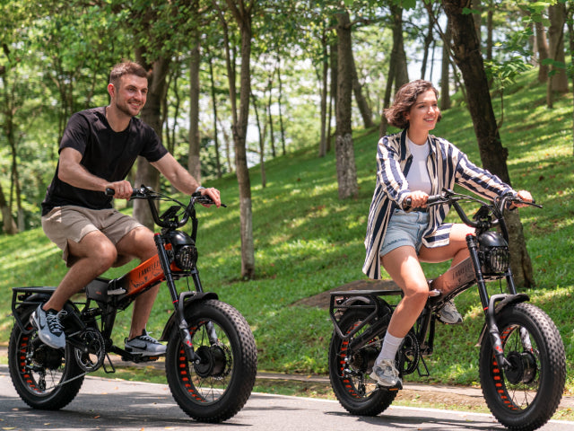 Lankeleisi Elektrofahrrad